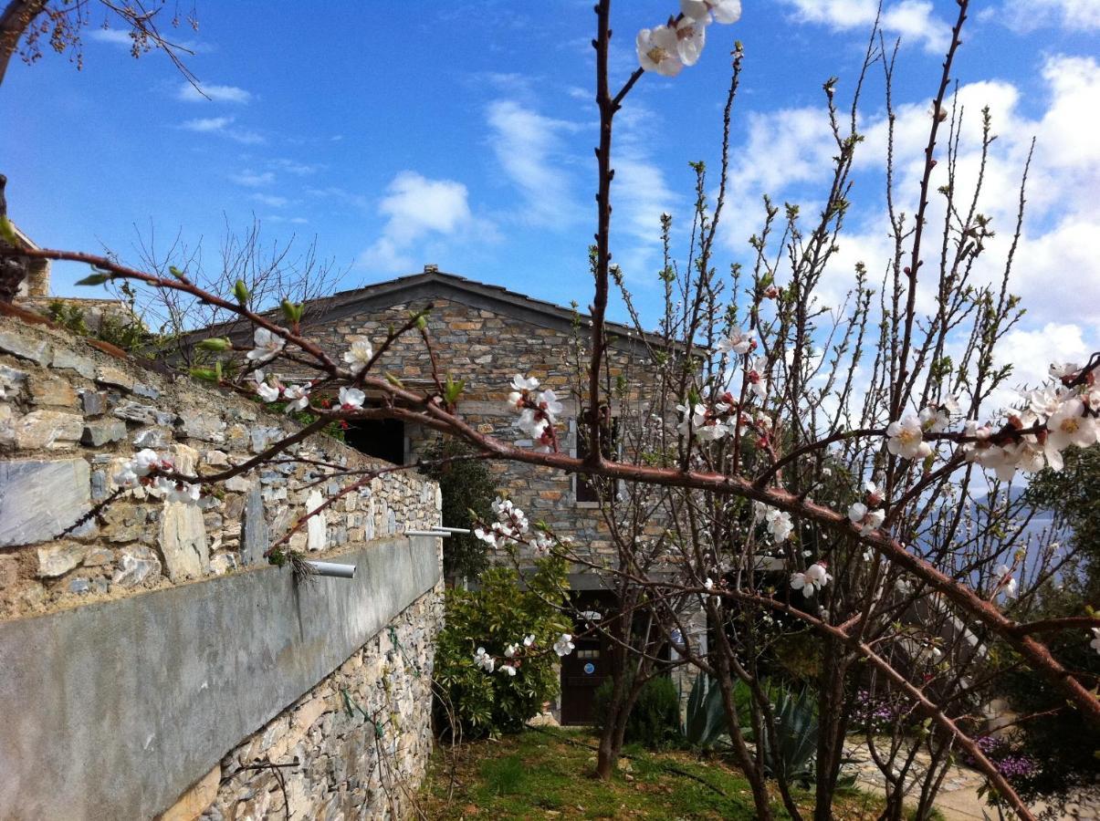 Pyrgos Traditional Village Ágios Kírykos Extérieur photo