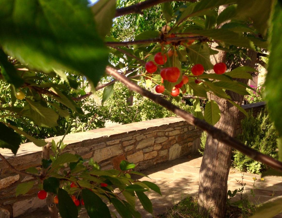 Pyrgos Traditional Village Ágios Kírykos Extérieur photo